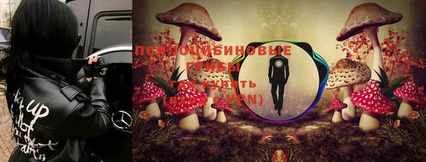 кокс Армянск