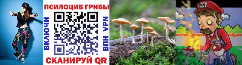 наркотики  Порхов  даркнет состав  Псилоцибиновые грибы мицелий 